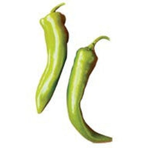 Green Chile - Diced Chiles Canned